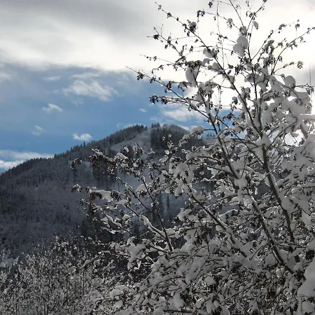 Apartament Superior Apartment Near Saalbach Hinterglemm With Sauna