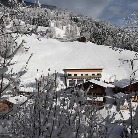 Superior Apartment Near Saalbach Hinterglemm With Sauna Viehhofen