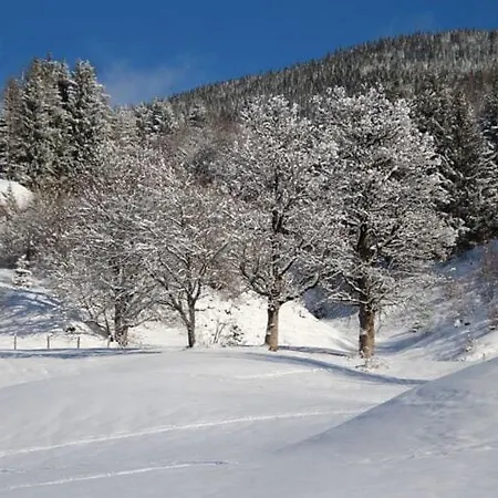 Superior Apartment Near Saalbach Hinterglemm With Sauna דירה *