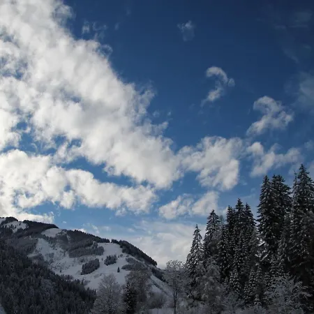 Superior Apartment Near Saalbach Hinterglemm With Sauna ויהופן