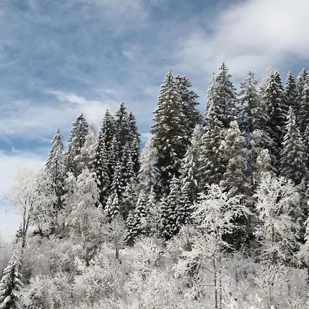 Superior Apartment Near Saalbach Hinterglemm With Sauna * ויהופן