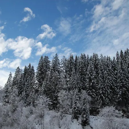 Superior Apartment Near Saalbach Hinterglemm With Sauna דירה ויהופן