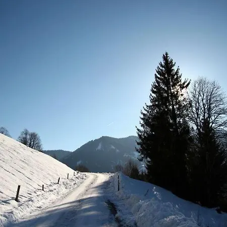 Superior Apartment Near Saalbach Hinterglemm With Sauna * ויהופן