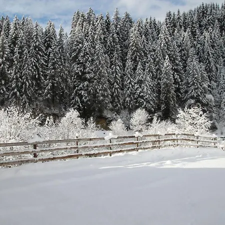 Superior Apartment Near Saalbach Hinterglemm With Sauna דירה ויהופן